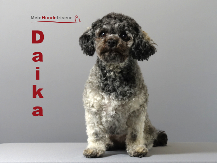 Daika Hundesalon